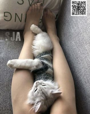 亚洲伊人伊成久久人综合网_HD天堂在线